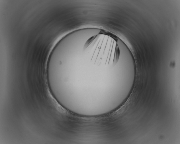 X0000092310996200710121454