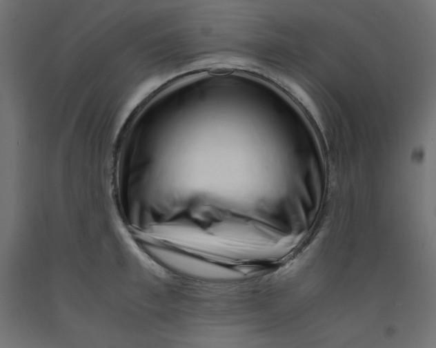 X0000092310997200710121454