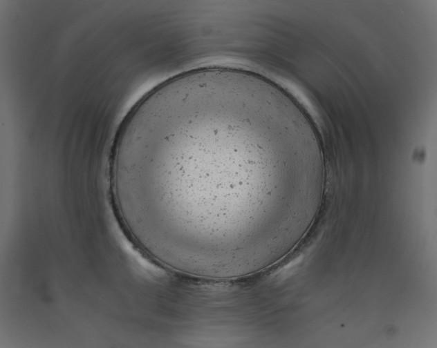 X0000092310999200710121454