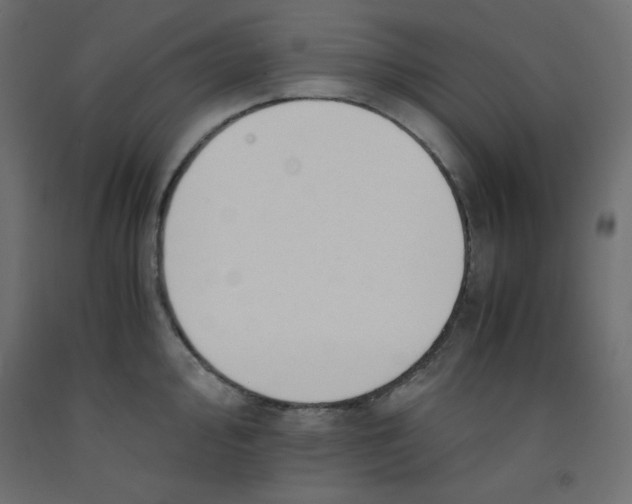 X0000092311000200710121454