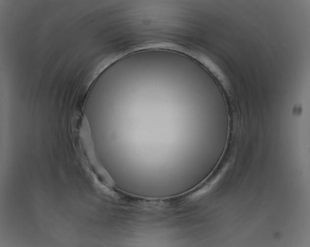X0000092311001200710121454