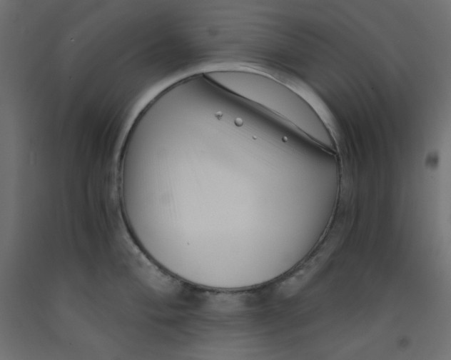X0000092311004200710121454