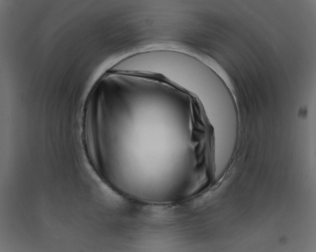 X0000092311005200710121454