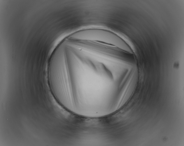 X0000092311006200710121454