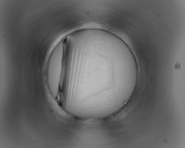 X0000092311008200710121454