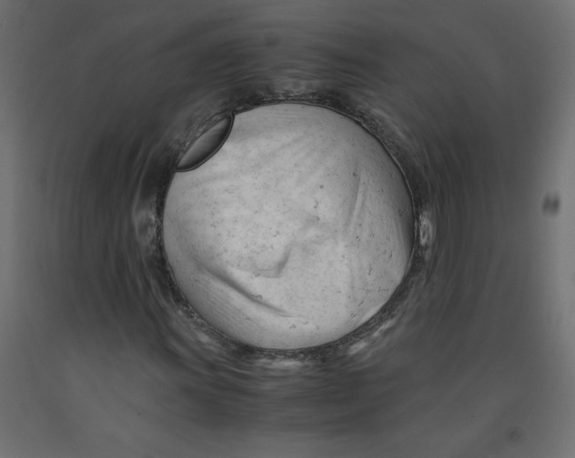 X0000092311011200710121454