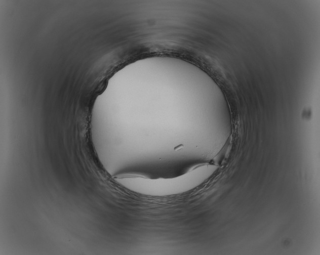 X0000092311012200710121454
