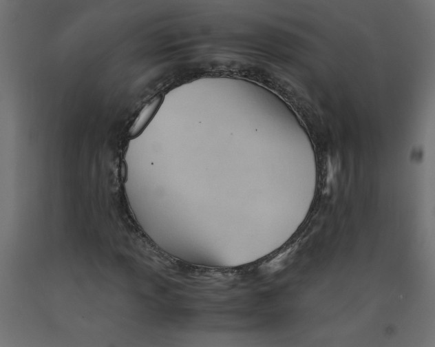 X0000092311013200710121454