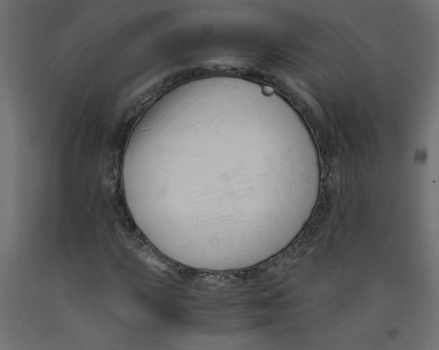 X0000092311015200710121454