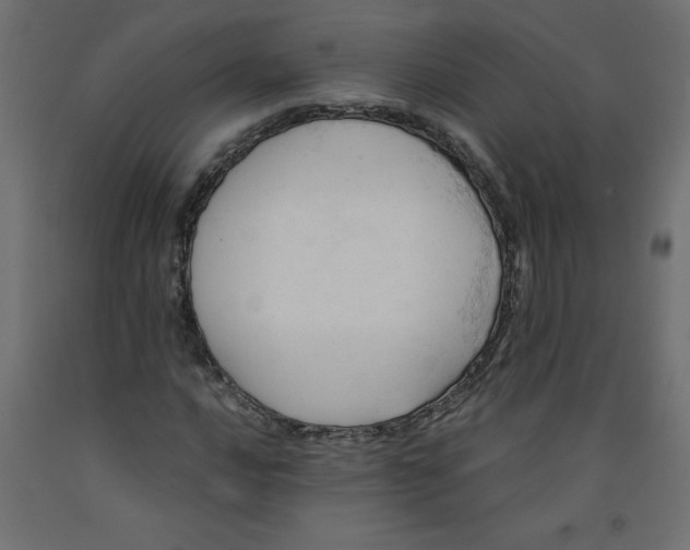 X0000092311016200710121454