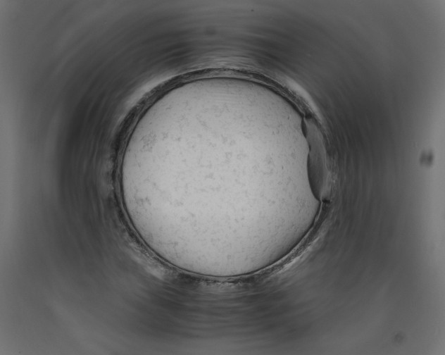 X0000092311019200710121454