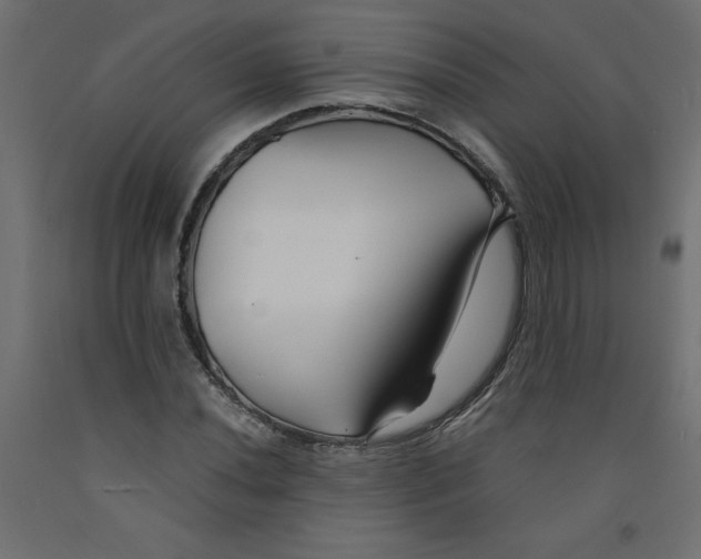 X0000092311020200710121454