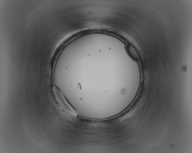 X0000092311021200710121454