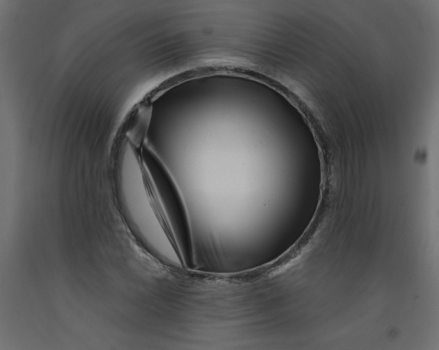 X0000092311022200710121454