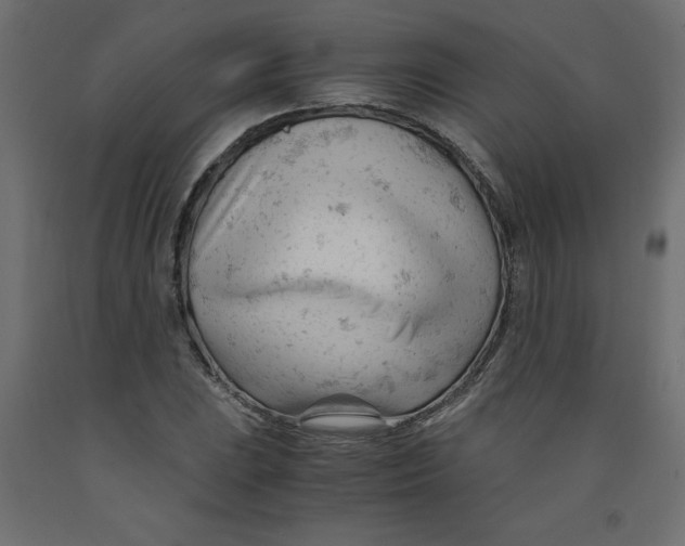 X0000092311023200710121454