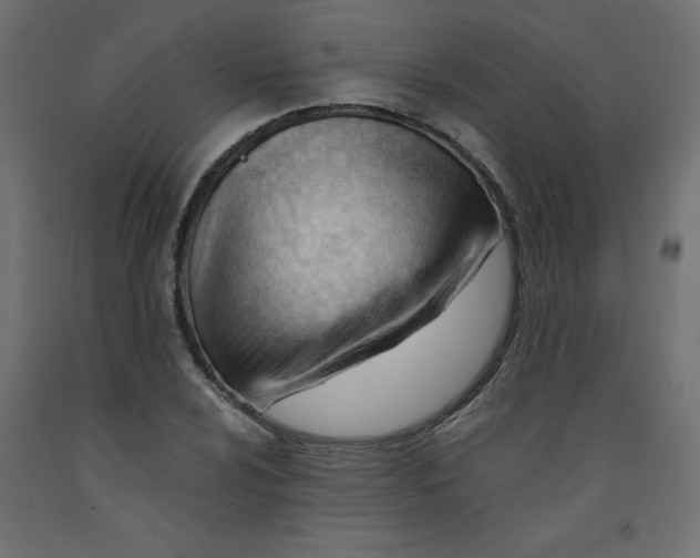 X0000092311024200710121454