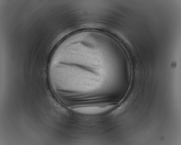 X0000092311025200710121454