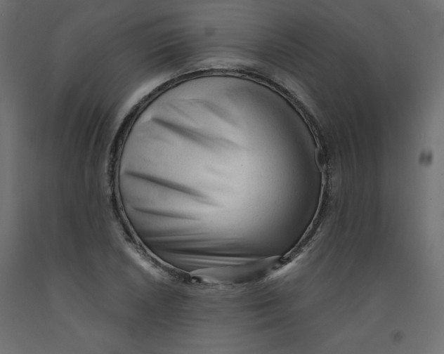 X0000092311026200710121454