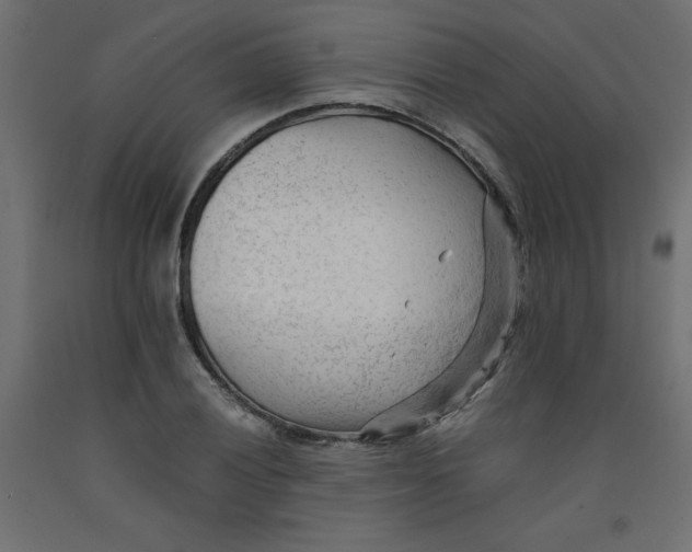 X0000092311028200710121454