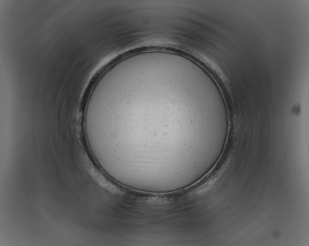 X0000092311029200710121454