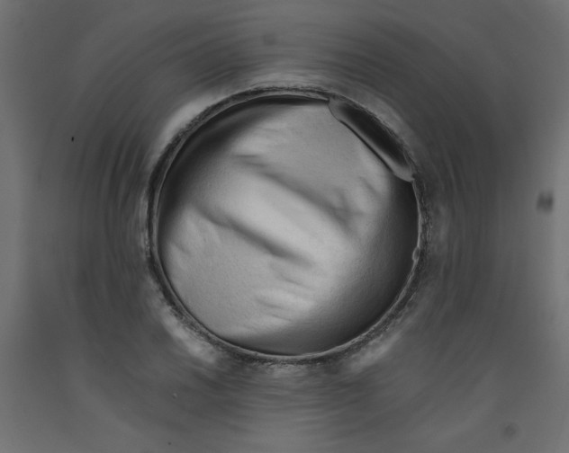X0000092311030200710121454