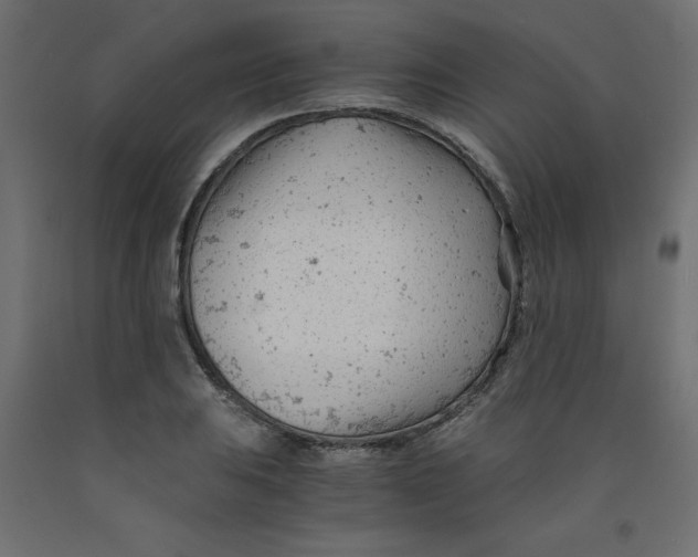 X0000092311031200710121454