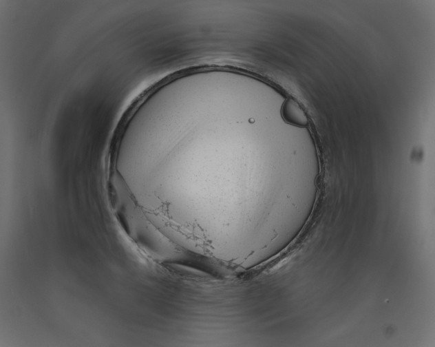 X0000092311032200710121454