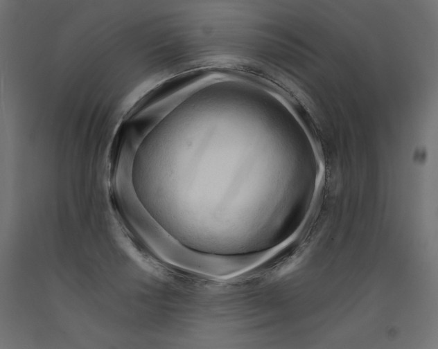 X0000092311034200710121454