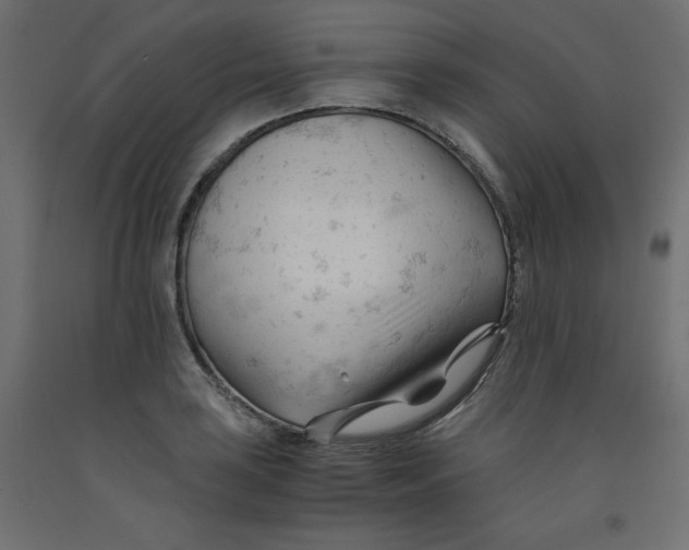 X0000092311035200710121454