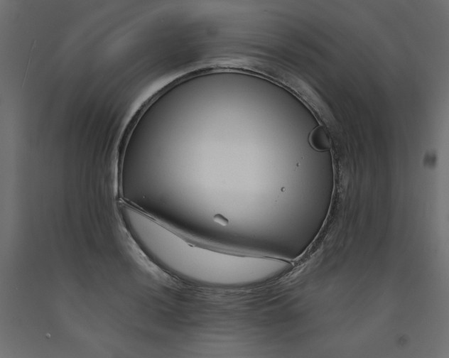 X0000092311036200710121454