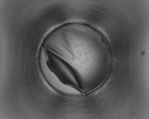 X0000092311037200710121454