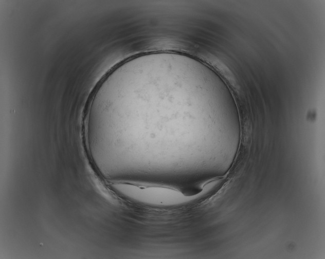 X0000092311039200710121454
