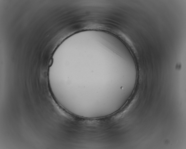 X0000092311041200710121454