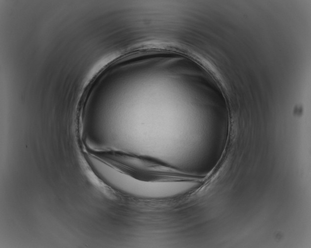 X0000092311042200710121454