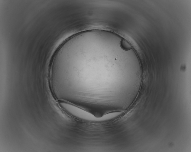 X0000092311043200710121454