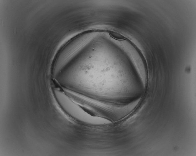 X0000092311045200710121454