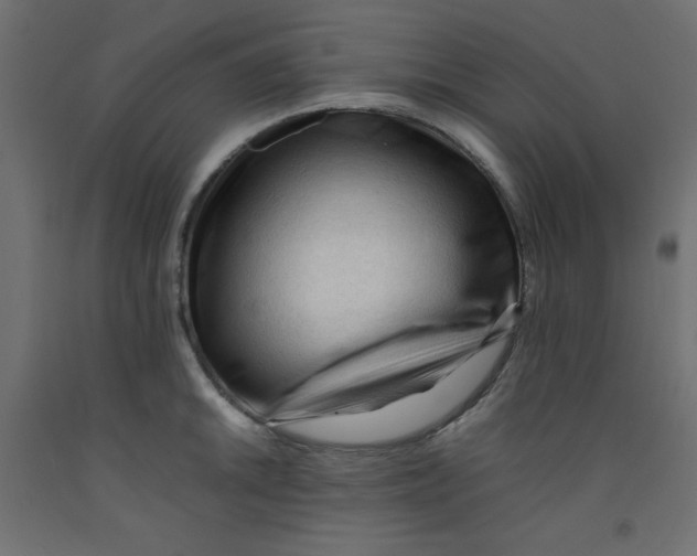 X0000092311046200710121454