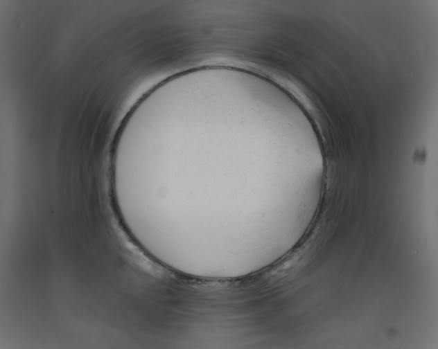 X0000092311048200710121454