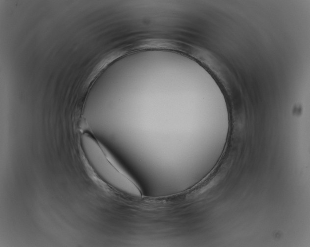 X0000092311049200710121454