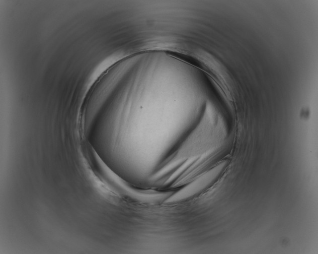 X0000092311050200710121454