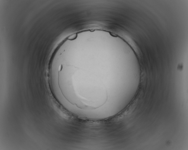 X0000092311051200710121454