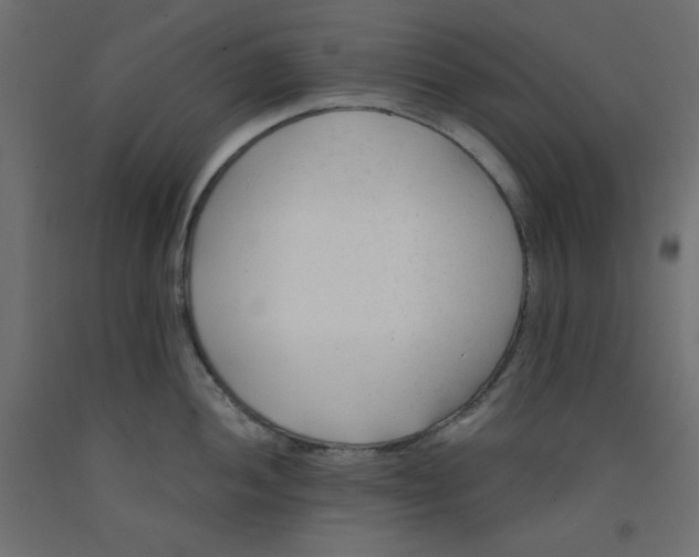 X0000092311052200710121454