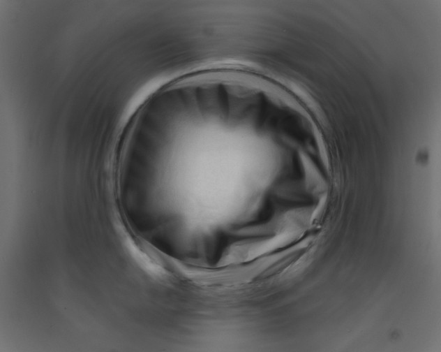 X0000092311054200710121454
