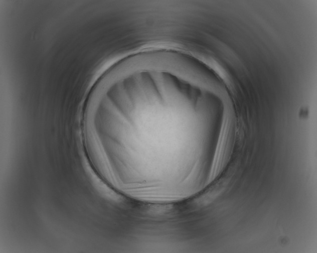 X0000092311055200710121454
