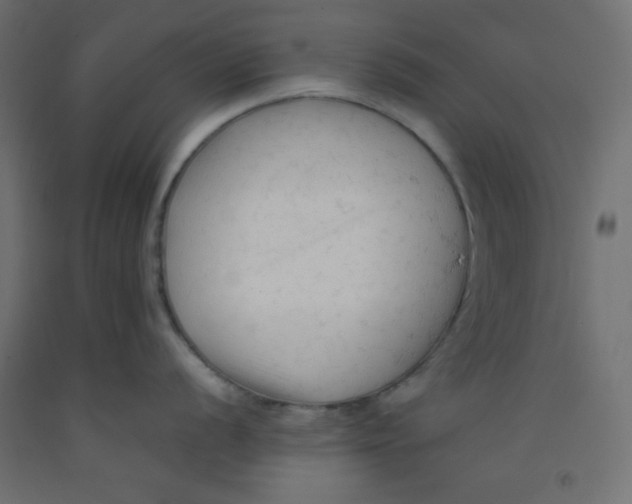 X0000092311056200710121454
