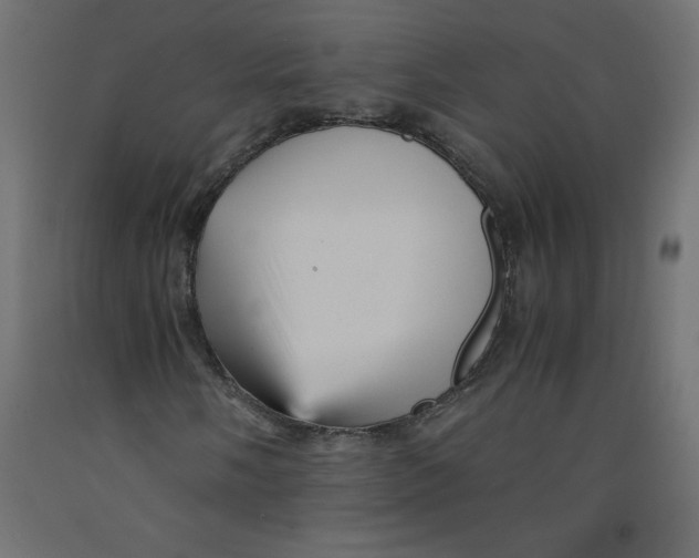 X0000092311058200710121454