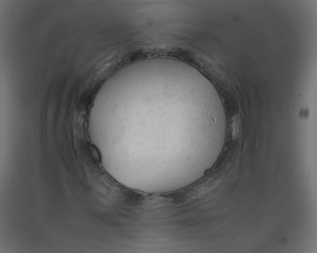 X0000092311059200710121454