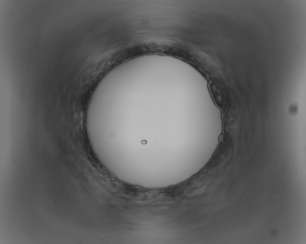 X0000092311061200710121453
