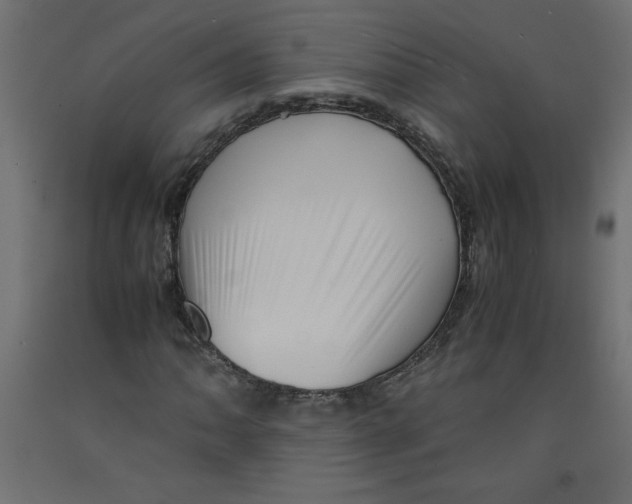 X0000092311062200710121453