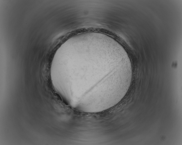 X0000092311063200710121453